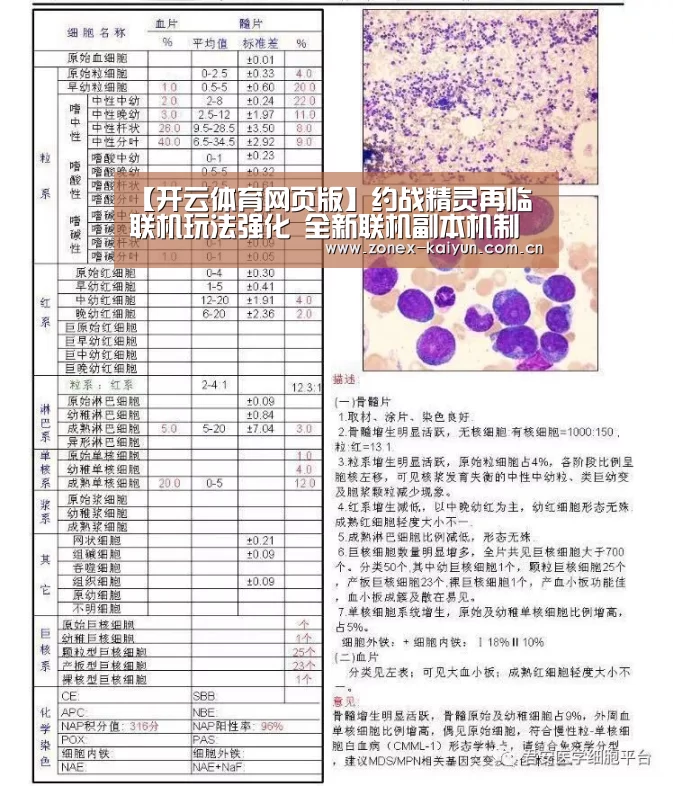 【开云体育网页版】约战精灵再临联机玩法强化 全新联机副本机制上线(图3) 开元棋牌电脑版