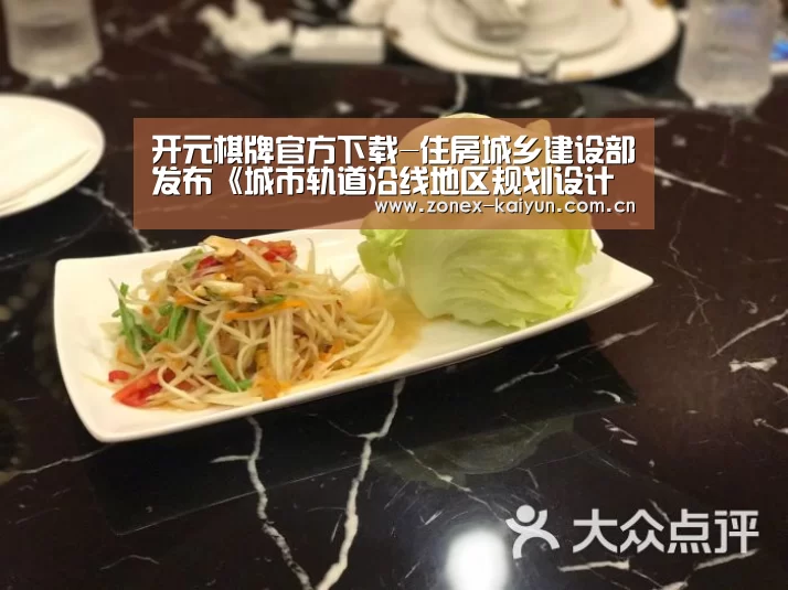 开元棋牌官方下载-住房城乡建设部发布《城市轨道沿线地区规划设计导则》(图1) 开云体育网页版