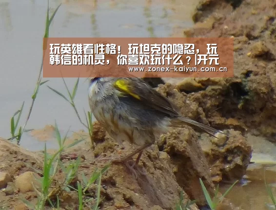 玩英雄看性格!玩坦克的隐忍,玩韩信的机灵,你喜欢玩什么?|开元棋牌电脑版(图1) 开元棋牌app