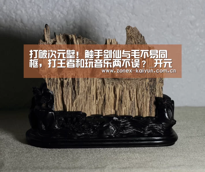 开云体育网页版
