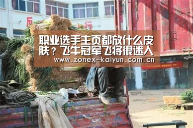 职业选手主页都放什么皮肤?飞牛冠军飞将很迷人,梦泪诺言最随性“开元棋牌app”(图4) 开元棋牌电脑版