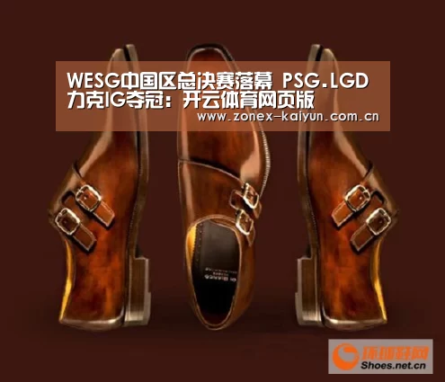 WESG中国区总决赛落幕 PSG.LGD力克IG夺冠：开云体