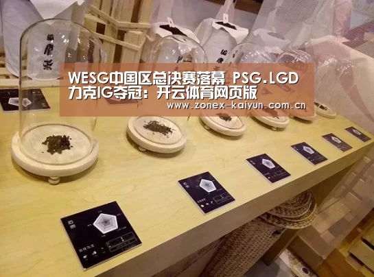 WESG中国区总决赛落幕 PSG.LGD力克IG夺冠:开云体育网页版(图3) 开元棋牌官方下载